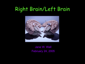 Right Brain/Left Brain - High Point University