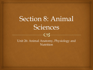 Section 8: Animal Sciences