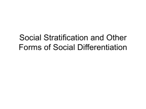Social Stratification and Other Forms of Social Differentiation