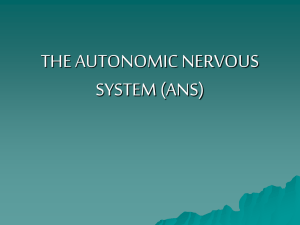 The autonomic nervous system (ANS)