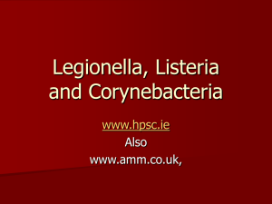 Legionella, Listeria,Corynebacteria Lecture