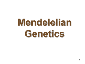Mendel's genetics