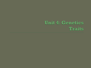 Mendel Genetics Unit PPT