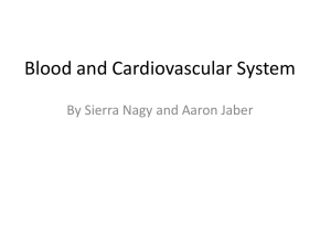 Blood and Cardiovascular System