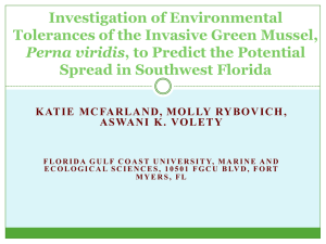 PowerPoint Presentation - Florida Gulf Coast University