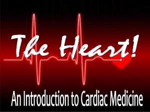 Introduction to Cardiac Medicine