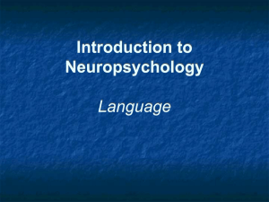 Lecture_2._Language