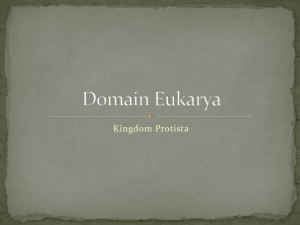 Domain Eukarya - Cloudfront.net