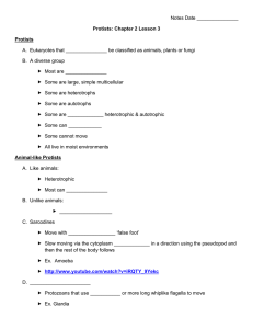 Protist Guided Notes