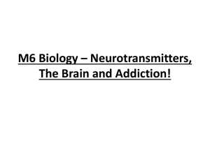 M6 Biology * Neurotransmitters, The Brain and Addiction!