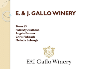 E. & J. GALLO WINERY A Strategic Analysis of the Wine Industry in