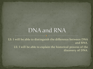 DNA and RNA structure ppt