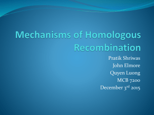 Homologous Recombination Presentation