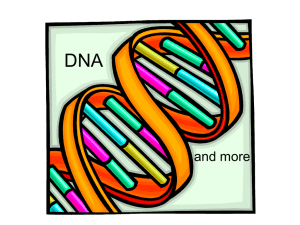 DNA Powerpoint