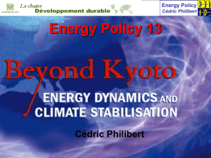 Energy Policy Cédric Philibert