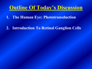 Intro to Retinal Ganglion Cells