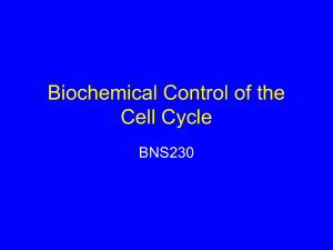 Biochemical Control of the Cell Cycle