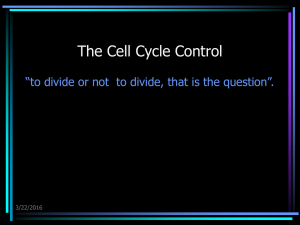 22 Cell Cycle control