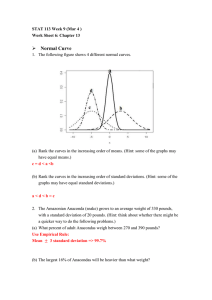 Worksheet 6