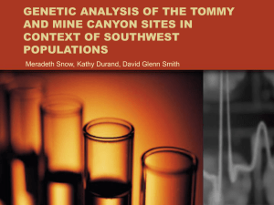 genetic analysis of the tommy and mine canyon sites in context of