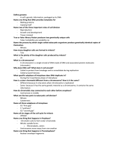 Review Questions Game Unit 5