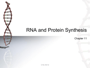 DNA Transcription