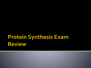 Protein Synthesis Exam Review