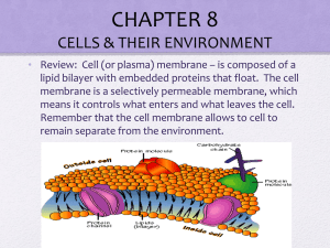 chapter 4 cells & their environment