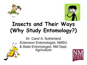 Why Study Insects? - New Mexico Agricultural Education FFA