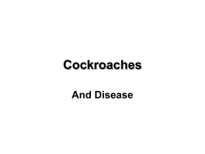 Cockroaches & Diseases