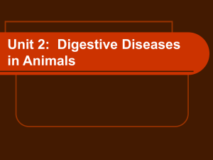 Unit 2: Digestive Diseases in Animals