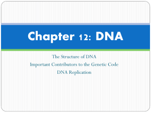 DNA, RNA and Proteins Notes