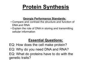 12.3 DNA, RNA, and Protein Chapter 12 Molecular Genetics