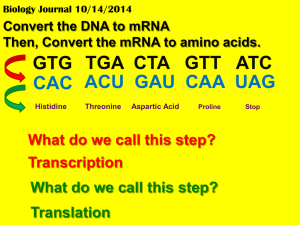 2.7 NOTES - DNA, RNA, and Transcription