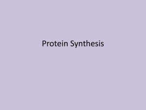 Notes Protein Synthesis 2016