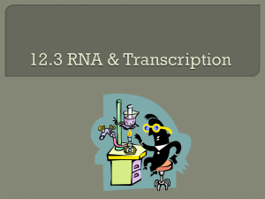 12.3 a RNA and Transcription