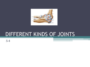 DIFFERENT KINDS OF JOINTS