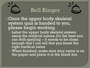 About the Skeletal System Powerpoint