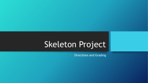 Skeleton Project