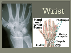 Wrist Lab Presentation