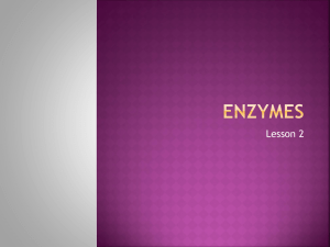 Enzymes - Groby Bio Page