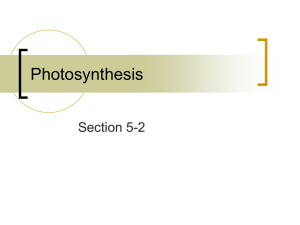 Photosynthesis - SCHOOLinSITES