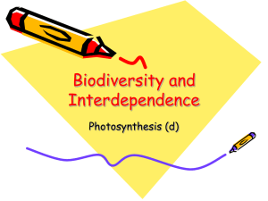 Photosynthesis