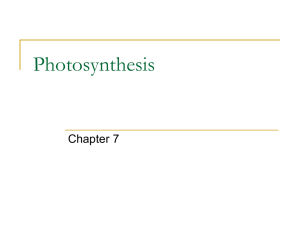 Photosynthesis - CCRI Faculty Web