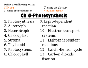 Ch 6-Photosynthesis