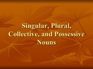 Singular, Plural, Collective, and Possessive