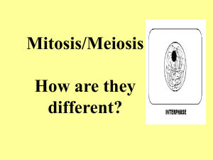 Meiosis review - local.brookings.k12.sd.us