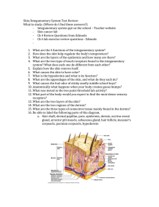 Integumentary system Test review