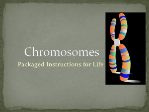 Chromosomes