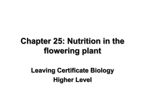Chapter 25 - leavingcertbiology.net